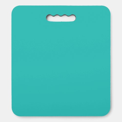 Solid sea green seat cushion