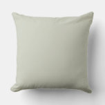 Solid Soft Light Pastel Sage Moss Green Color Throw Pillow