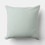 Solid Soft Light Pastel Sage Moss Green Color Throw Pillow