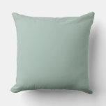 Solid Soft Light Pastel Sage Teal Green Color Throw Pillow