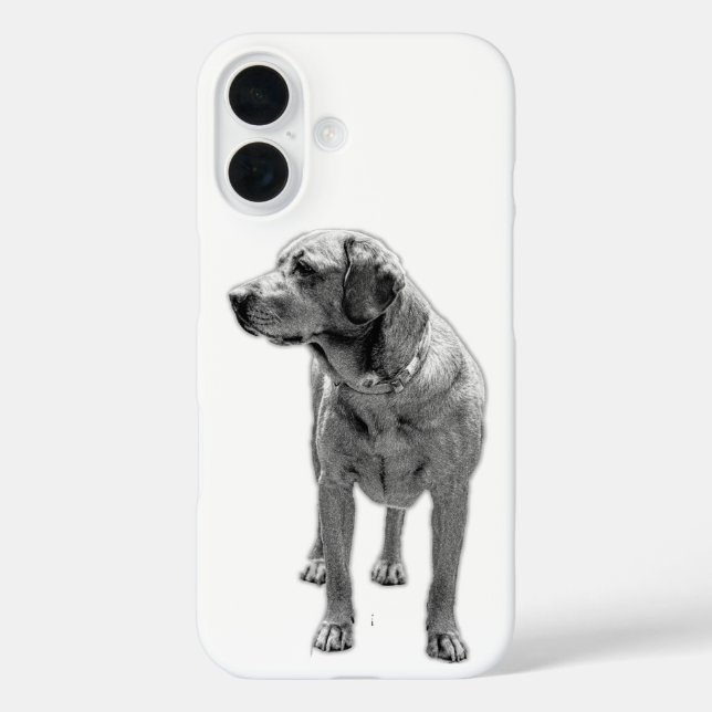 Solid Stance, Everyday Armor Case-Mate iPhone Case (Back)