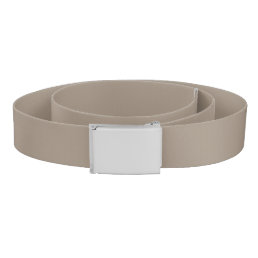 Solid taupe dusty brown belt