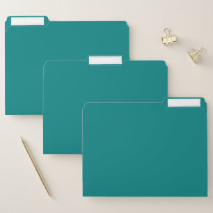 Solid Teal File Folder – Home and Office Style