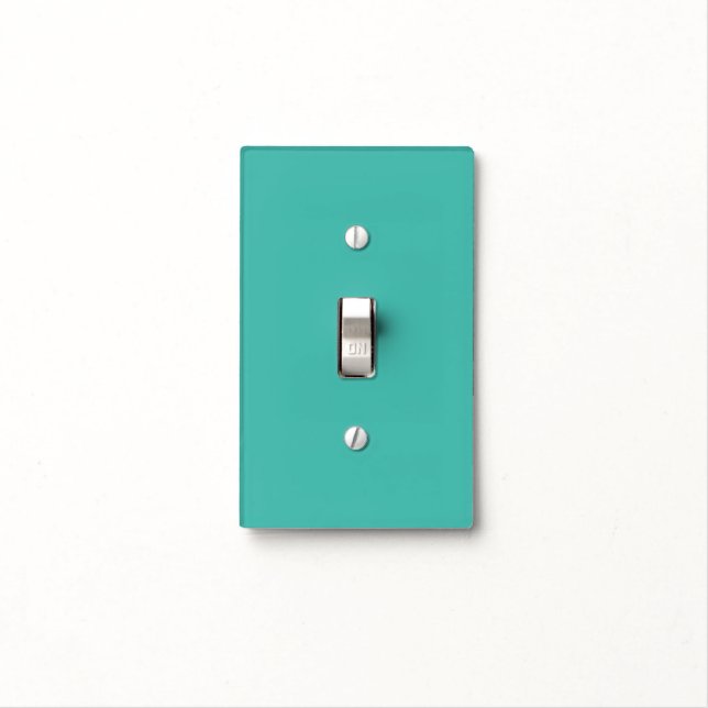 Solid Turquoise Light Switch Cover (In Situ)