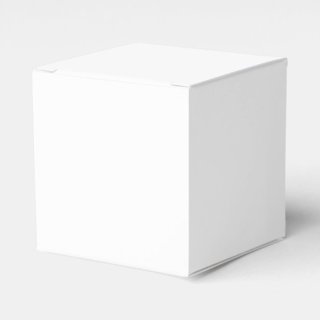 Solid White Favor Boxes (Front Side)