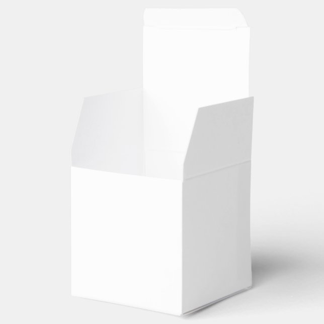 Solid White Favor Boxes (Opened)