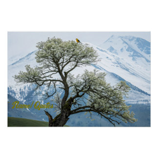Solitary Blossoming Tree and Snowy Mountains Poster