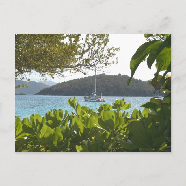 Solitary Boat Postcard (Front)