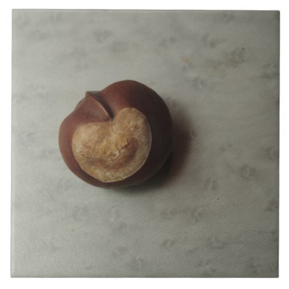 Solitary Conker Ceramic Tile