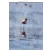Solitary Flamingo Watercolor (Front)