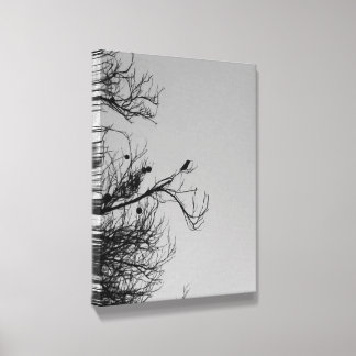 Solitary Humming Bird Canvas Photo Tile