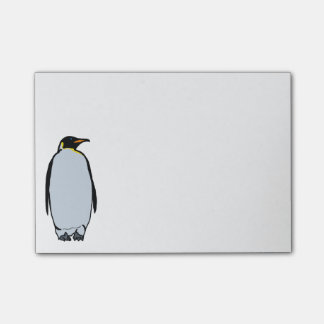 Solitary Penguin Chill Notes