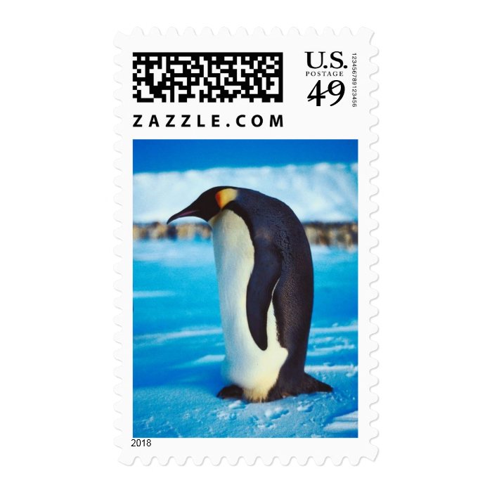 Solitary Penguin Postage