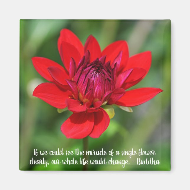 Solitary Red Dahlia Flower Wisley Motivational Magnet (Front)