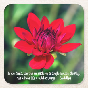 Solitary Red Dahlia Flower Wisley Motivational Square Paper Coaster