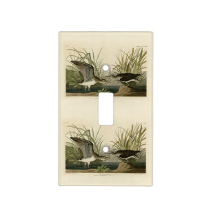 Solitary Sandpiper from Audubon's Birds of America Light Switch Cover