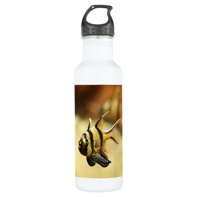 Solitary Stripy Angelfish Stainless Steel Water Bottle (Front)