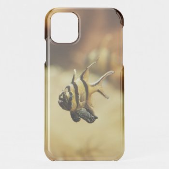 Solitary Stripy Angelfish Iphone 11 Case by beachcafe at Zazzle