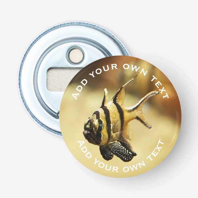 Solitary Stripy Angelfish Underwater Custom Text Bottle Opener (Front)