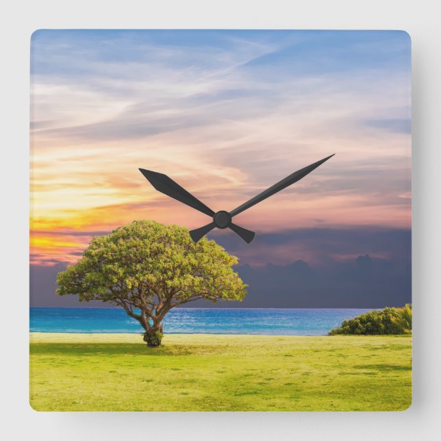 Solitary Tree Square Wall Clock (Front)