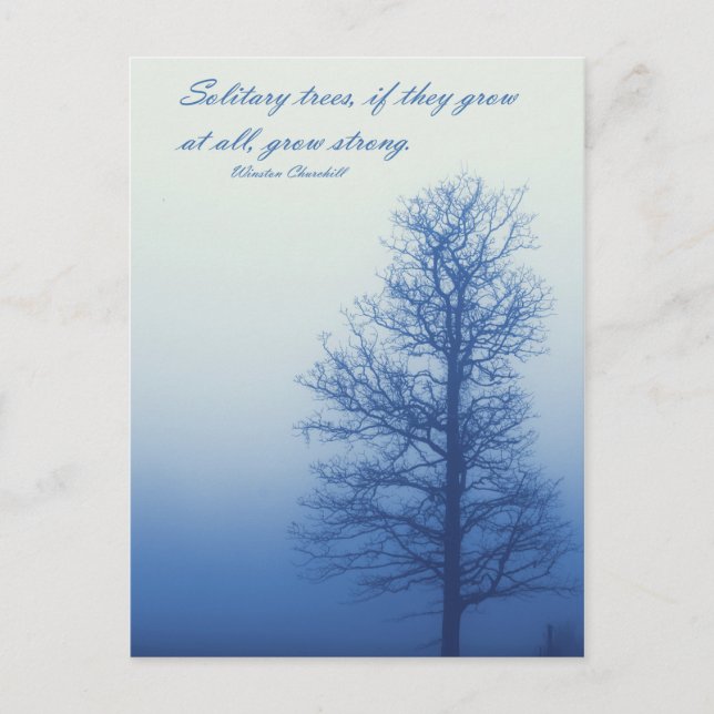 Solitary Trees Grow Strong  -  Postcard (Front)