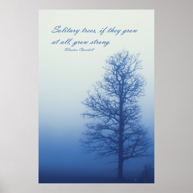 Solitary Trees Grow Strong  -  Silhouette in Fog Poster (Front)