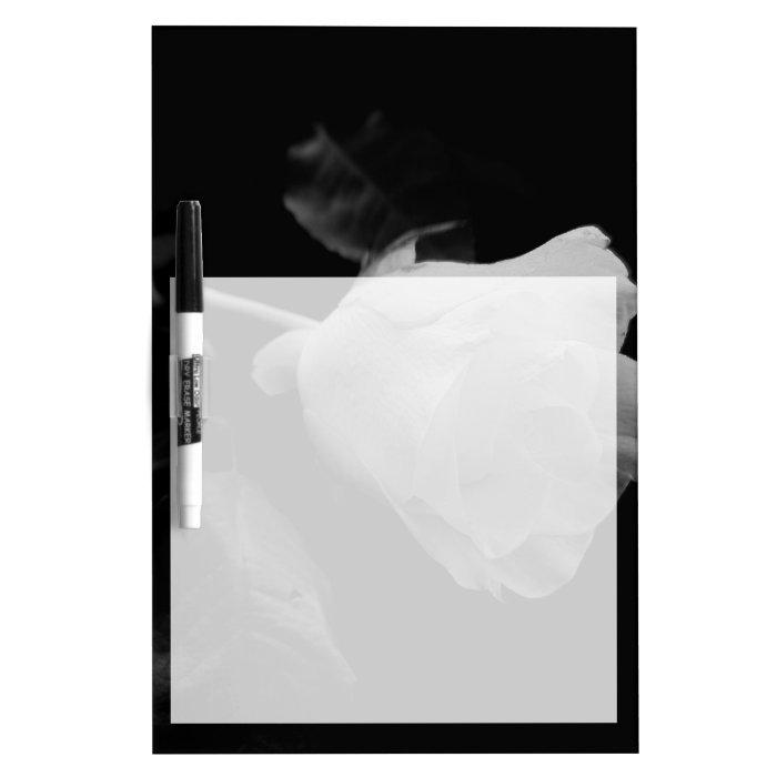 Solitary White Long Stem Rose Dry Erase Boards