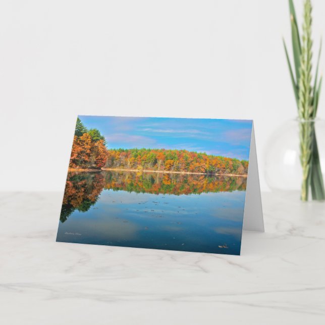 Solitude-A companion in Nature Card (Front)