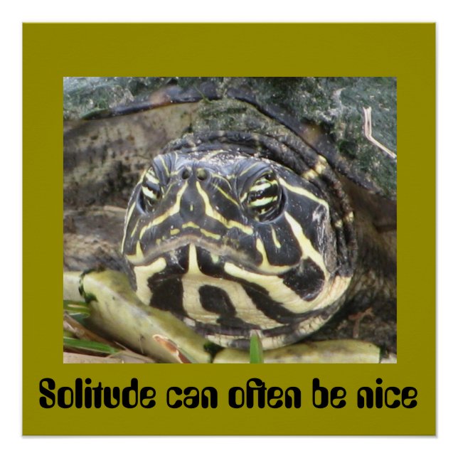 Solitude Can Often Be Nice - Turtle Poster (Front)