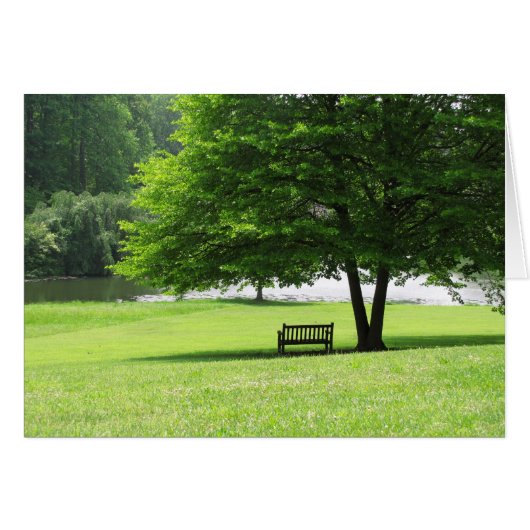 Solitude Cards (Front Horizontal)
