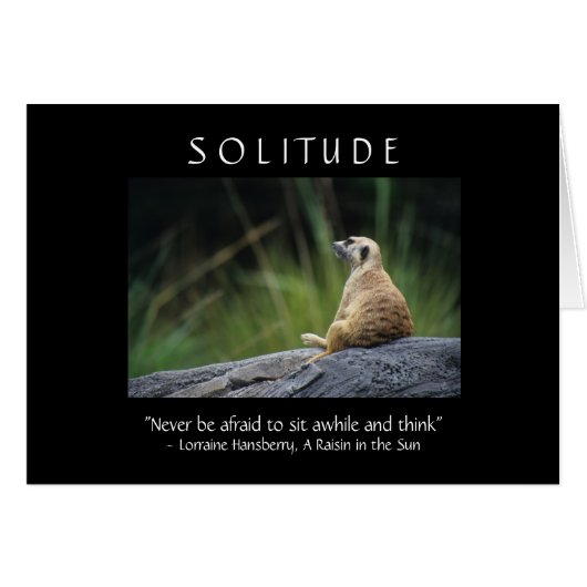 Solitude Cards (Front Horizontal)