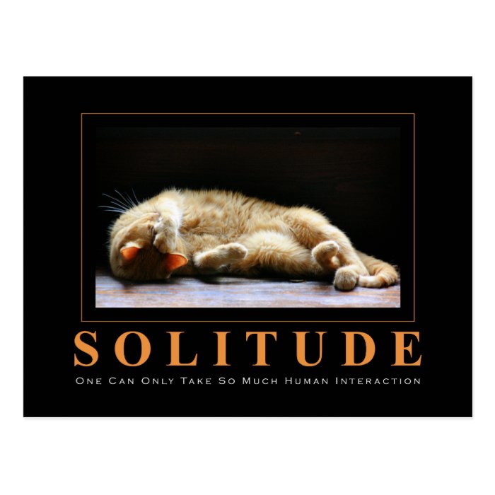 SOLITUDE Cat Photography Anti Motivational Postcard