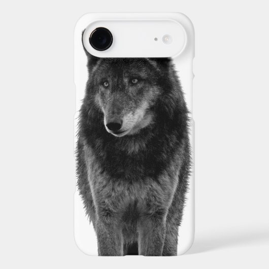"Solitude" iPhone 4 Case (Back)
