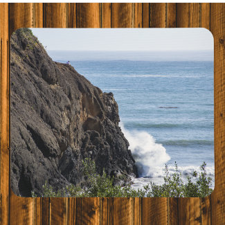 Solitude on a Seastack in Port Orford Oregon