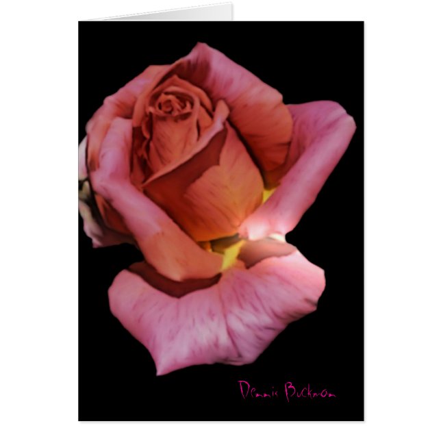 Solitude Rose Cards (Front)