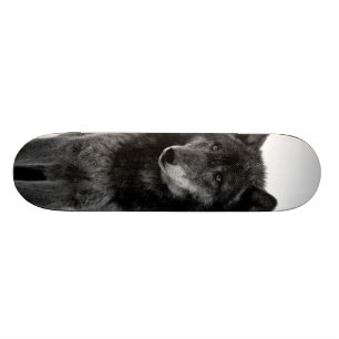 "Solitude" Skateboard Deck