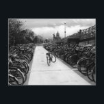 Solo Bike Parking Amsterdam Black and White Postcard<br><div class="desc">Hello! Hope you like this photo I took! Feel free to add your own text and check my shops for more!</div>