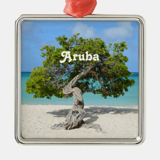 Solo Divi Divi Tree in Aruba Metal Ornament (Front)