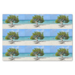 Solo Divi Divi Tree in Aruba Tissue Paper