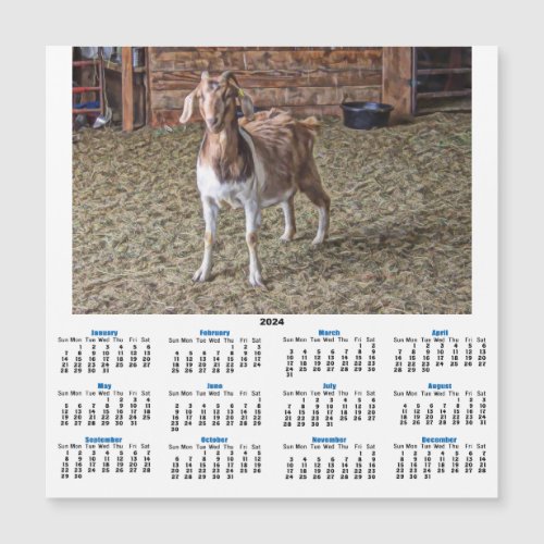 Solo Goat Kid 2024 Calendar CarD