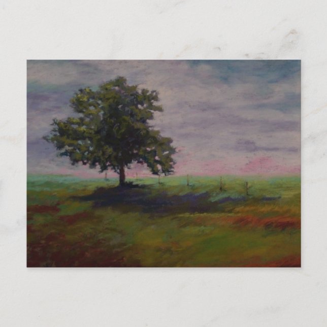 solo postcard (Front)