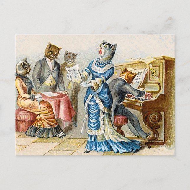 Solo Postcard (Front)