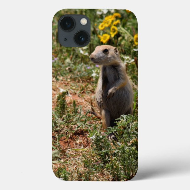 Solo Prairie Dog IPhone Cases (Back)