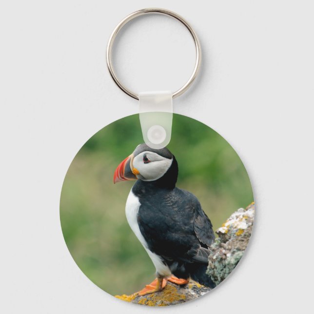 Solo Puffin Keychain (Front)