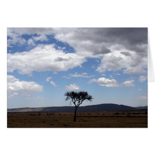 solo tree cards (Front Horizontal)