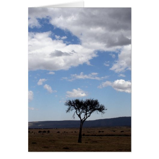 solo tree clouds (Front)