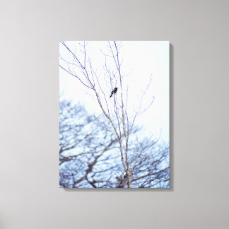 Soloist Canvas Print
