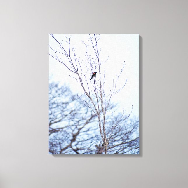 Soloist Canvas Print (Front)