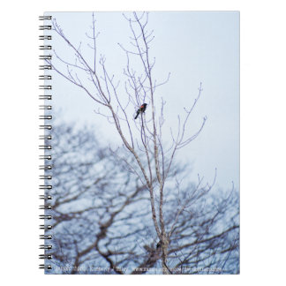 Soloist Notebook