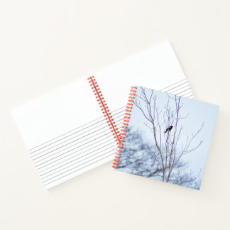 Soloist Notebook